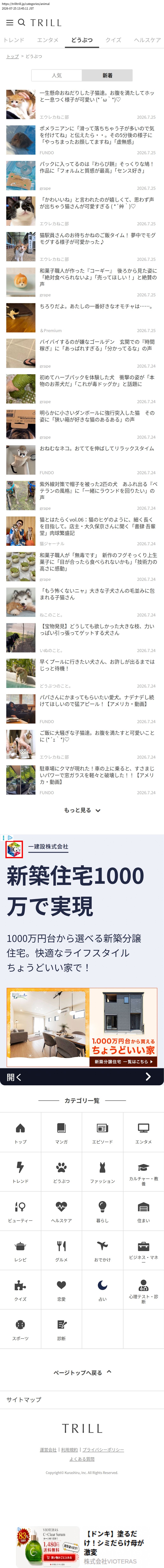top highlighted